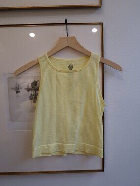 The Reegan Seamless Ribbed Cropped Tank Top